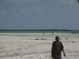   : Zanzibar 2011